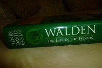 Walden