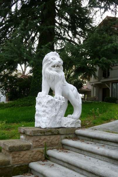 Stone Lion