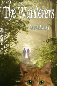 Wanderers 8 - Small Copy